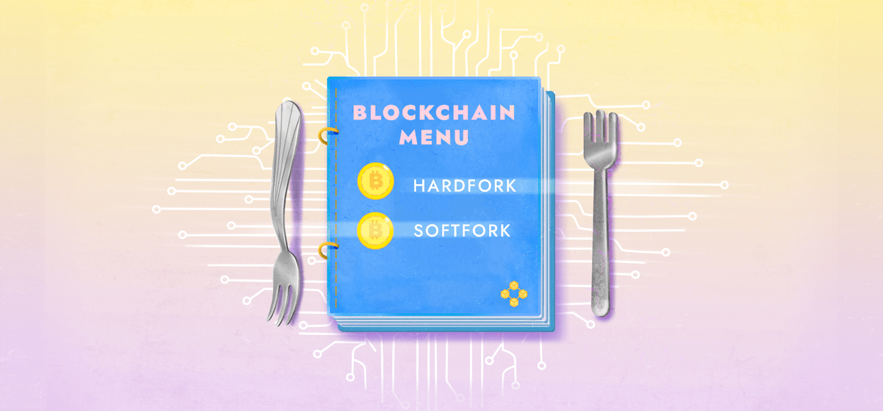 Hard Fork Blockchain Crypto: What is It, and How Does It Work?